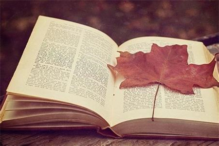 自考考试过后如何申请学士学位?