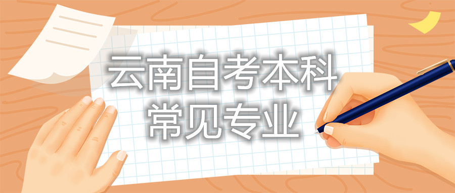 云南自考本科常见专业